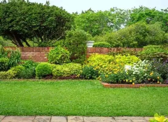 landscaping services Science Hill